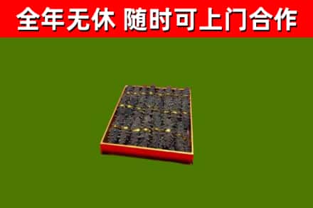 阳原回收海参